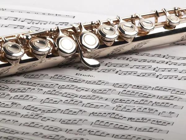 Flute and notes — Stock Photo, Image