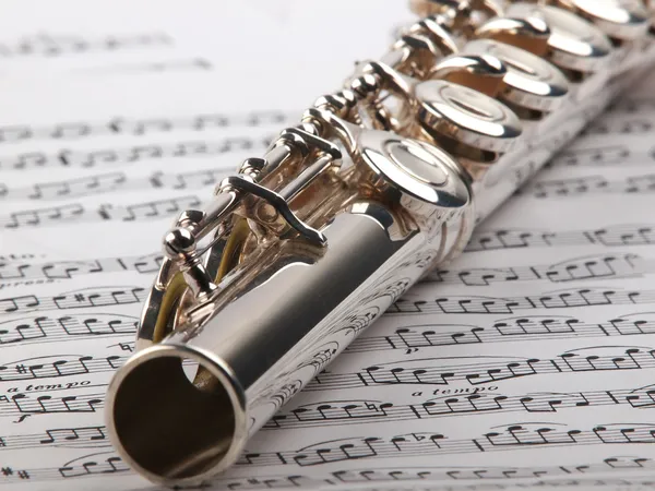 Flute and notes — Stock Photo, Image