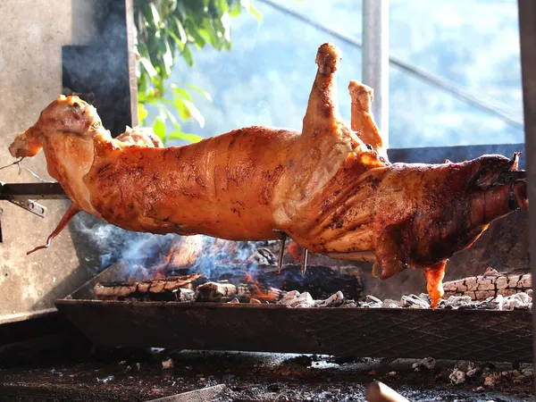 Cerdo a la parrilla — Foto de Stock