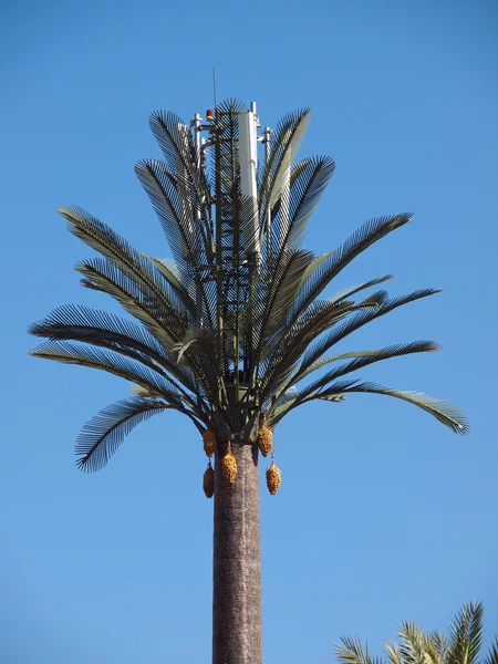 Artifical palm tree — Stock Photo, Image