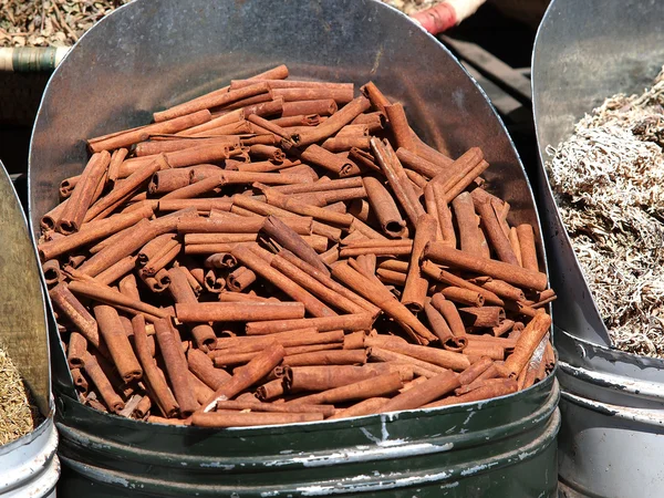 Cinnamon — Stock Photo, Image