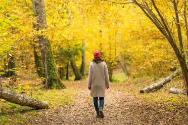 Güzel bir sonbahar sarı ormanında bir kadın yalnız yürür.