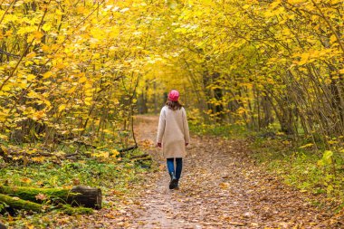 Genç bir kadın sonbahar mevsiminde güzel bir sonbahar sarı ormanında yürür.