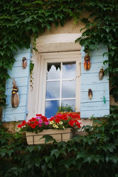 Okno s květinami — Stock fotografie