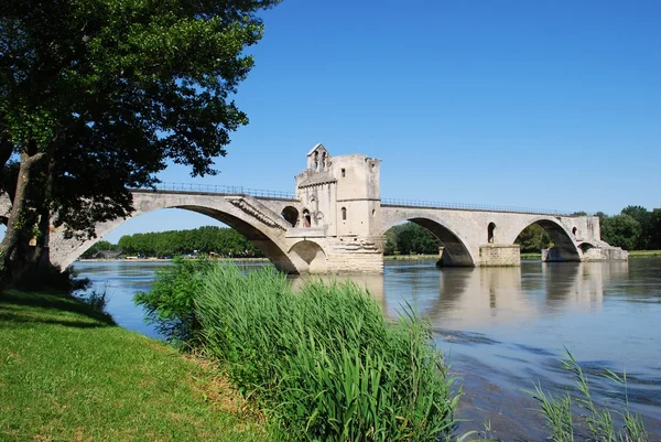 Avignon Köprüsü, Fransa
