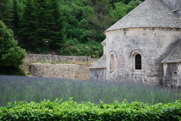 Senanque абатство, Франція — стокове фото