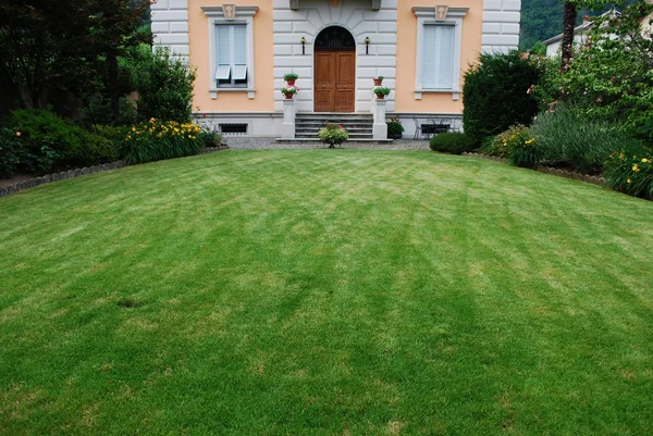 Grüner Garten — Stockfoto