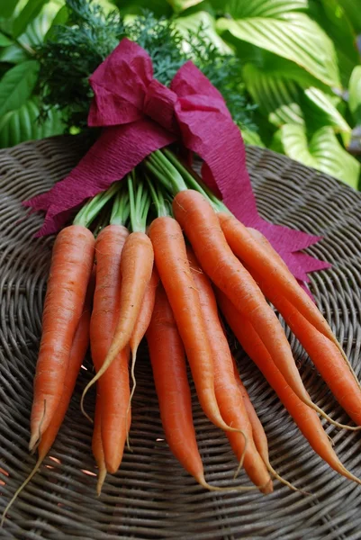Ramo de zanahorias Imagen De Stock