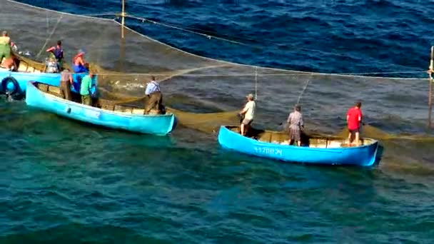 Ukraine Krimea Big Atlesh 2016年6月21日 黒海のボラを漁師が捕獲 — ストック動画