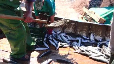 UKRAINE, KRIMEA, Big Atlesh - 21 Haziran 2016: Balıkçılar Karadeniz, Batı Kırım 'da yakalanan tekir balıklarını yüklüyorlar