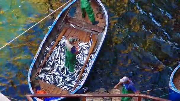 Ucrania Crimea Gran Atlesh Junio 2016 Los Pescadores Capturan Salmonetes — Vídeos de Stock