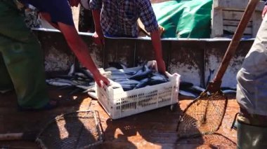 UKRAINE, KRIMEA, Big Atlesh - 21 Haziran 2016: Balıkçılar Karadeniz, Batı Kırım 'da yakalanan tekir balıklarını yüklüyorlar