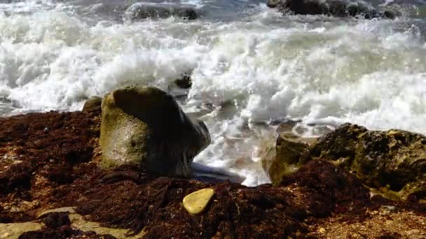 Vågor Rullar Stenig Strand Svarta Havet Tarkhankut Västra Krim — Stockvideo