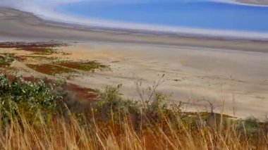 Ukrayna 'nın Kuyalnitsky halklarının yamaçlarında kuru bozkır bitkileri.