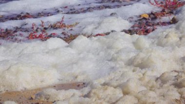 Ötrofikasyon ve kirlilik, fırtına sırasında Karadeniz kıyısında beyaz köpük