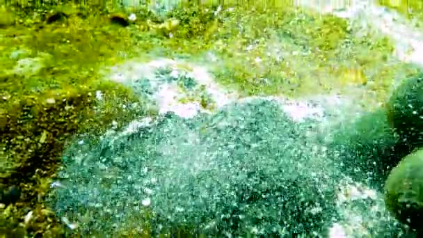 敖德萨湾表面的海洋真菌 海洋生态学 — 图库视频影像