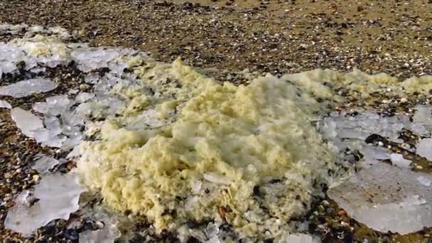 Eutrophisation Réservoir Mousse Organique Sale Hiver Sur Côte Mer Noire — Video