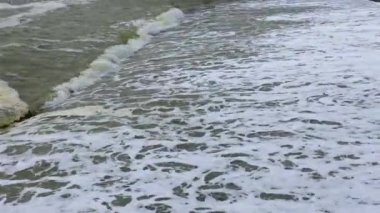Şiddetli bir fırtına sırasında kirli deniz köpüğü, rezervuarın ekolojisi, Karadeniz