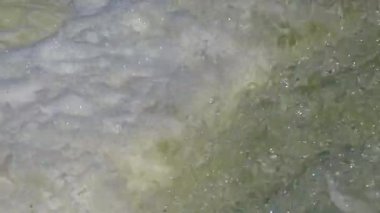 Çevre kirliliği. Kirli su borudan doğal bir gölete akar. Lağım, tedavi tesisleri, kirli köpük, bakteri.