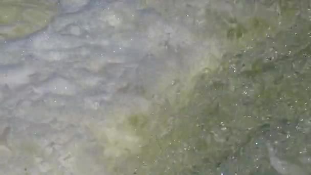 环境污染 脏水从管子流入一个天然池塘 处理设施 肮脏泡沫 — 图库视频影像