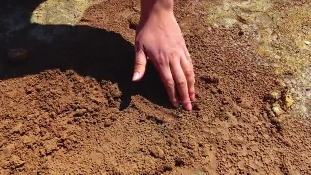 Estuário Kuyalnik Mar Negro Crustáceo Ovos Artemia Salina — Vídeo de Stock