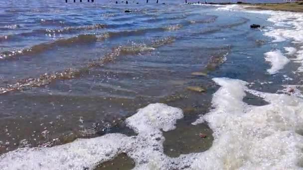 Mousse Sur Rive Lac Raison Eau Sale Eutrophisation Des Eaux — Video