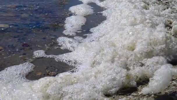 湖岸上的泡沫 由于脏水 天然水体富营养化 湖泊生态 — 图库视频影像