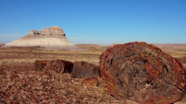 Taşlaşmış ağaç gövdeleri, ön planda çok renkli mineral kristalleri. Taşlaşmış Orman Ulusal Parkı, Arizona