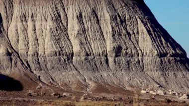 Taşlaşmış ağaç gövdeleri, ön planda çok renkli mineral kristalleri. Taşlaşmış Orman Ulusal Parkı, Arizona