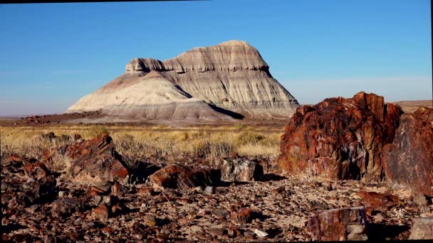 石化树的树干 五彩斑斓的矿物晶体在前景广阔 亚利桑那州石化森林国家公园 — 图库视频影像