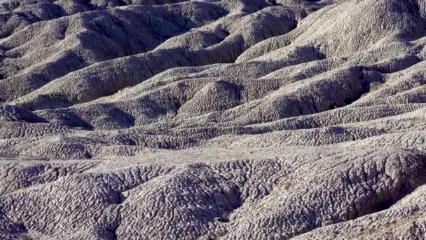 Erosion Uralter Mehrfarbiger Sedimentgesteine Aus Denen Versteinerte Mammutbäume Weggespült Werden — Stockvideo