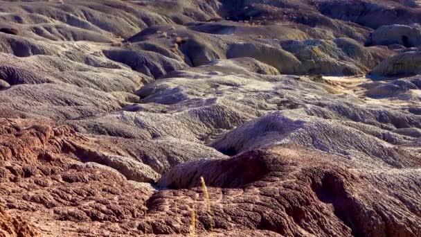 Fosilleşmiş Sekoiaların Aktığı Çok Renkli Çökelti Kayalarının Erozyonu Taşlaşmış Orman — Stok video