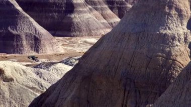Taşlaşmış ağaç gövdeleri, ön planda çok renkli mineral kristalleri. Taşlaşmış Orman Ulusal Parkı, Arizona