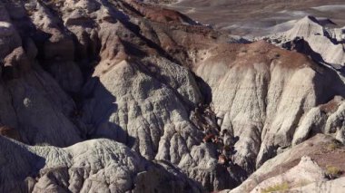 Taşlaşmış ağaç gövdeleri, ön planda çok renkli mineral kristalleri. Taşlaşmış Orman Ulusal Parkı, Arizona