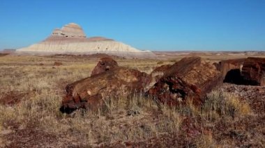 Taşlaşmış ağaç gövdeleri, ön planda çok renkli mineral kristalleri. Taşlaşmış Orman Ulusal Parkı, Arizona