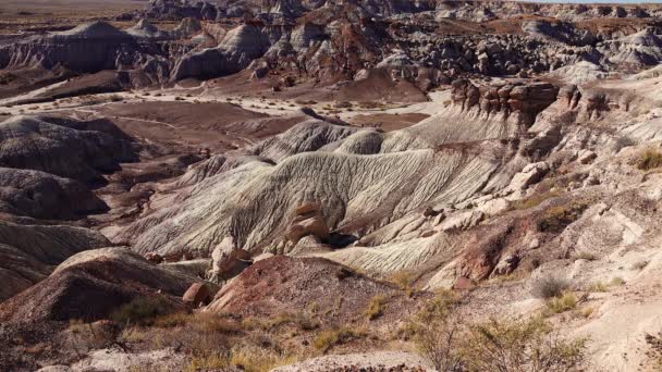 Zkamenělý Lesní Národní Park Eroze Starobylých Mnohobarevných Sedimentárních Hornin Kterých — Stock video