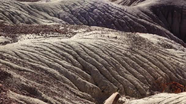 Parque Nacional Bosque Petrificado Erosión Antiguas Rocas Sedimentarias Multicolores Las — Vídeo de stock