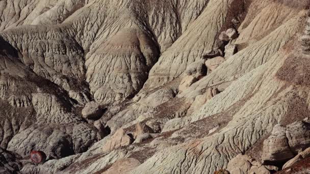 Parque Nacional Bosque Petrificado Erosión Antiguas Rocas Sedimentarias Multicolores Las — Vídeo de stock