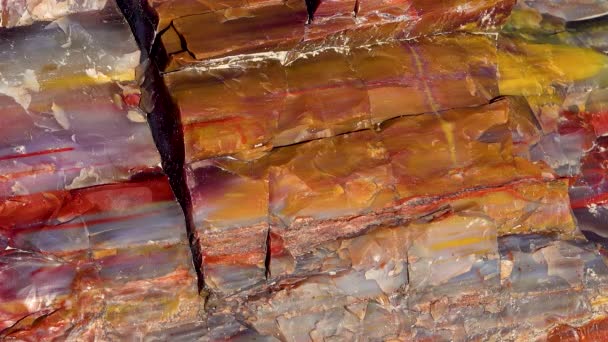 石化树的树干 五彩斑斓的矿物质结晶 亚利桑那州石化森林国家公园 — 图库视频影像