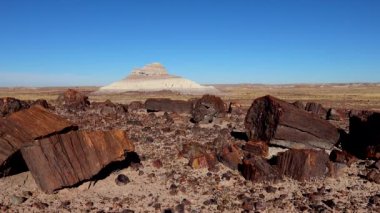 Taşlaşmış ağaç gövdeleri, ön planda çok renkli mineral kristalleri. Taşlaşmış Orman Ulusal Parkı, Arizona
