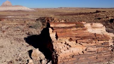 Taşlaşmış ağaç gövdeleri, ön planda çok renkli mineral kristalleri. Taşlaşmış Orman Ulusal Parkı, Arizona
