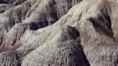 Mavi Mesa Çorak Toprakları - Çok renkli eski kayaların erozyonu, Taşlaşmış Orman Ulusal Parkı