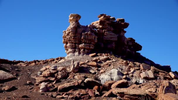 Parque Nacional Bosque Petrificado Erosión Antiguas Rocas Sedimentarias Multicolores Las — Vídeo de stock