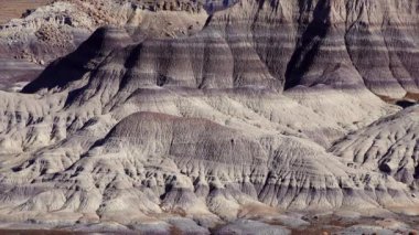 Mavi Mesa Çorak Toprakları - Çok renkli eski kayaların erozyonu, Taşlaşmış Orman Ulusal Parkı
