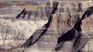 Taşlaşmış Orman Ulusal Parkı. Fosilleşmiş sekolitlerin aktığı çok renkli eski kayaların erozyonu.