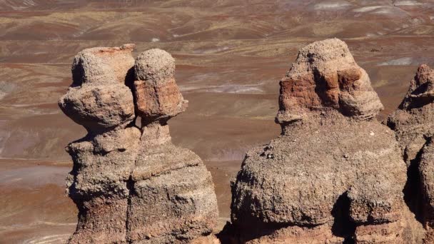 Förstenad Skogspark Erosion Antika Flerfärgade Sedimentära Bergarter Från Vilka Fossil — Stockvideo