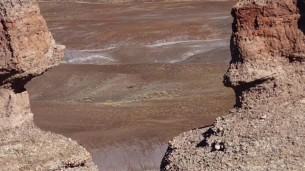 Parque Nacional Bosque Petrificado Erosión Antiguas Rocas Sedimentarias Multicolores Las — Vídeo de stock