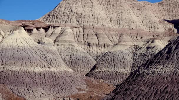 Parque Nacional Bosque Petrificado Erosión Antiguas Rocas Sedimentarias Multicolores Las — Vídeo de stock