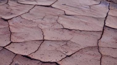 Amerika 'nın New Mexico çölünde kurumuş bir nehir yatağında kırmızı kil ve tuz kırdım.
