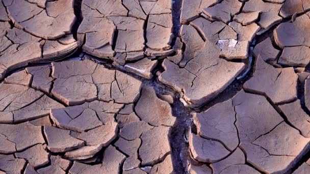 ニューメキシコ州の砂漠の乾燥河床の表面に赤い粘土と塩を砕いた — ストック動画